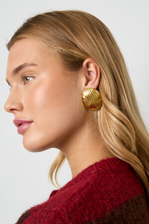 Stainless Steel Stud Earrings irregular shape Casual Daily Simple Series Women's jewelry h5 Picture2