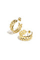 Gold Color 