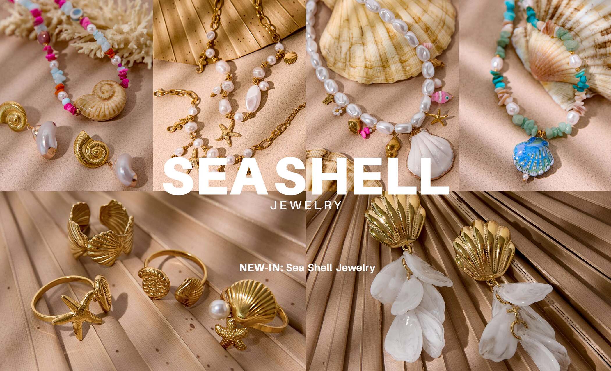 Sea Shell Overdose Resim 0