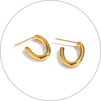 Stainless Steel Earrings