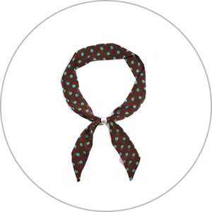 Scarves & Scarf Clips