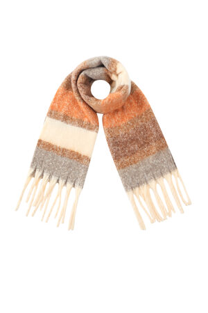 Sciarpa autunnale di base (Pack with plastic bag) h5 Immagine5