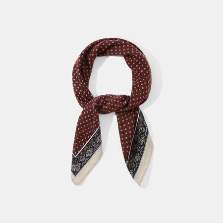 1 Piece Gorgeous Paisley Pattern Bandana 2