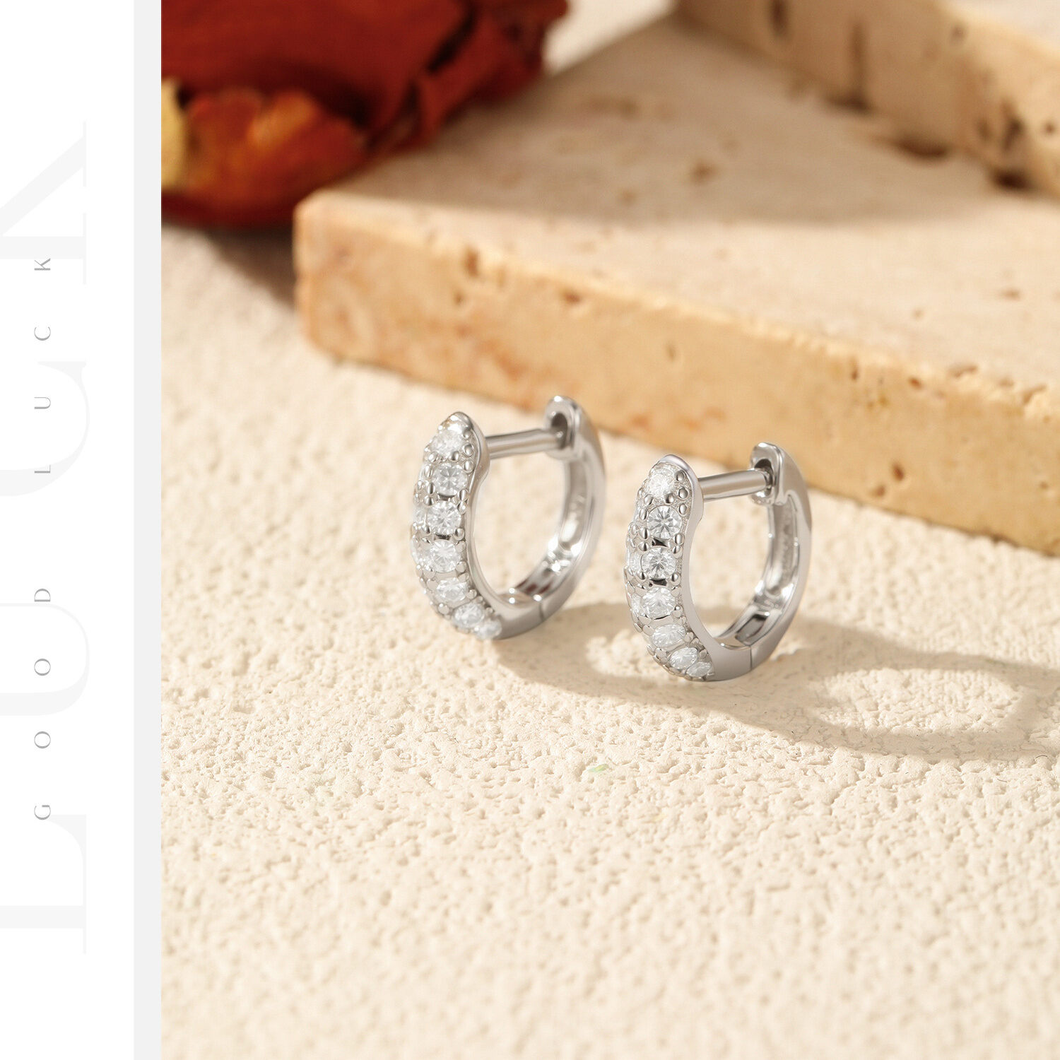 Simple Series Elegant Circle S925 Rhodium Plating Women's Moissanite Earrings h5 Picture5