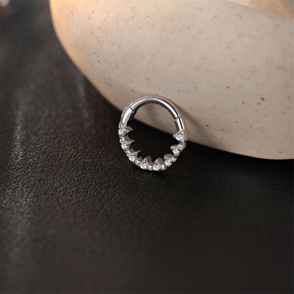 Simple Series Classic Circle S925 Platinplattierte Moissanit-Ohrringe für Damen h5 Bild5