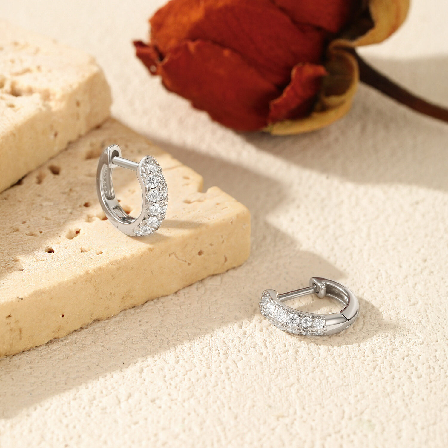 Simple Series Elegant Circle S925 Rhodium Plating Women's Moissanite Earrings Picture4