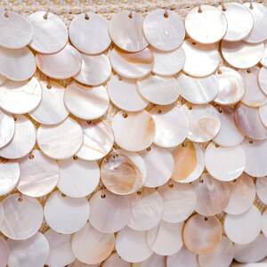 Evening Style Woven Solid Color Oceanic Style Woven Shell Sea Shells Women's Pillow Bag h5 Picture8