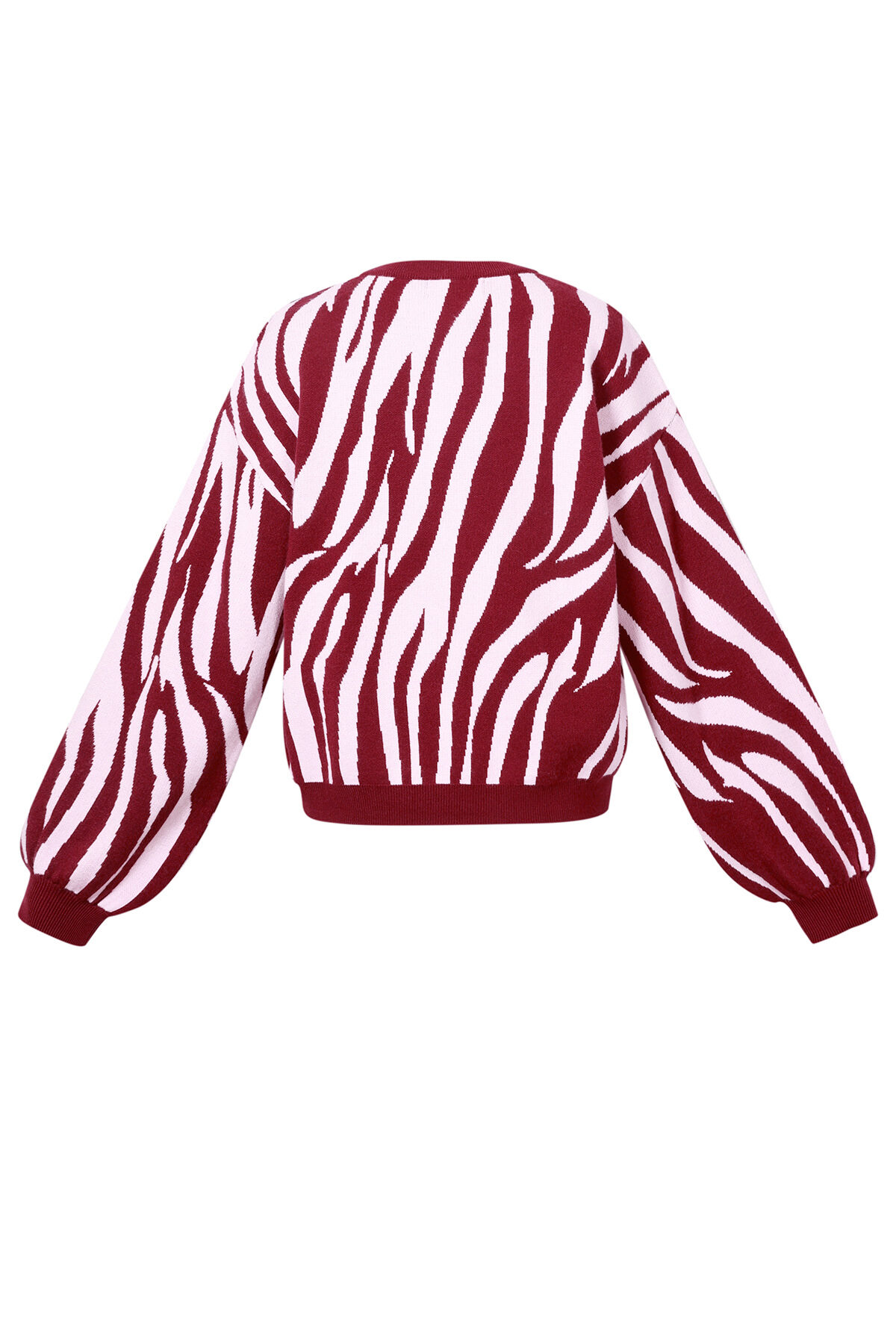 Zebra sweater h5 Picture3