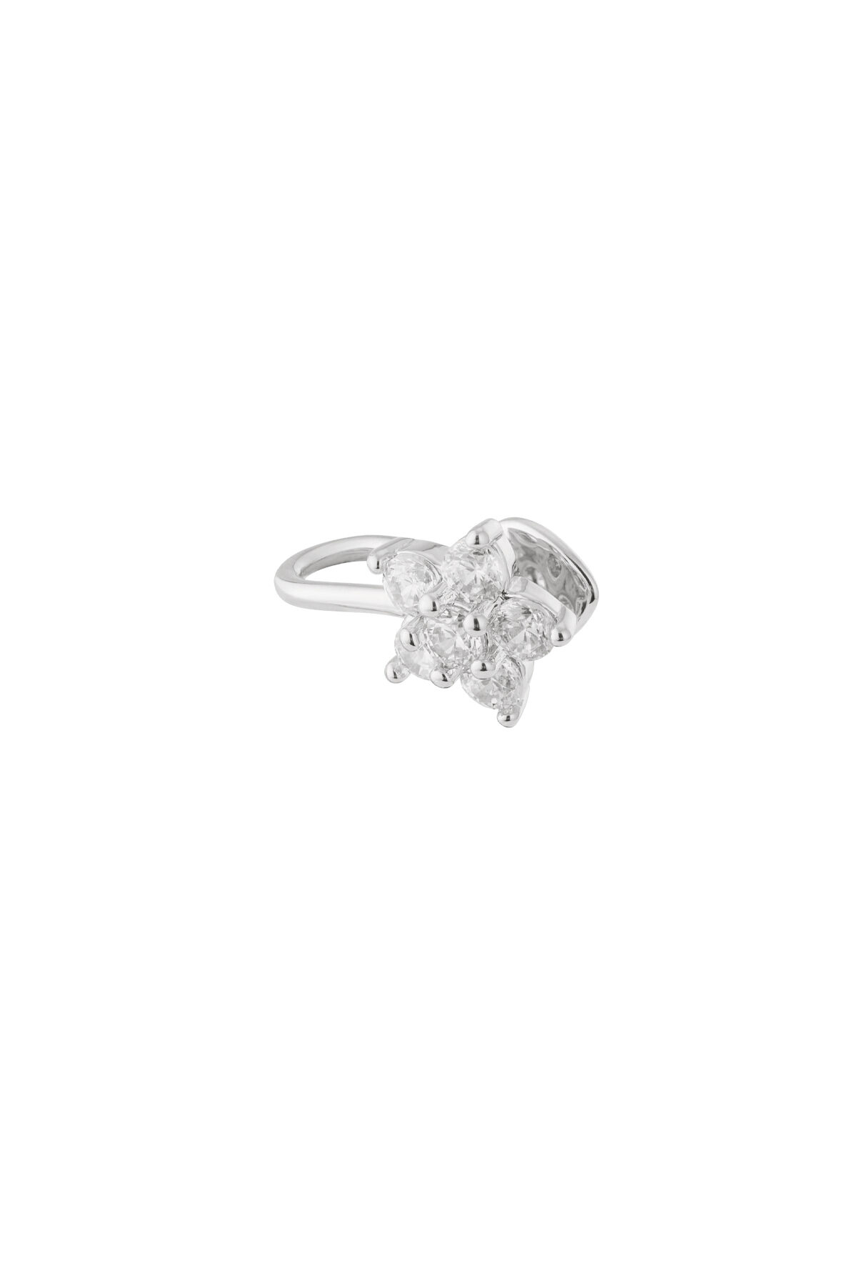 Silver Color Picture2