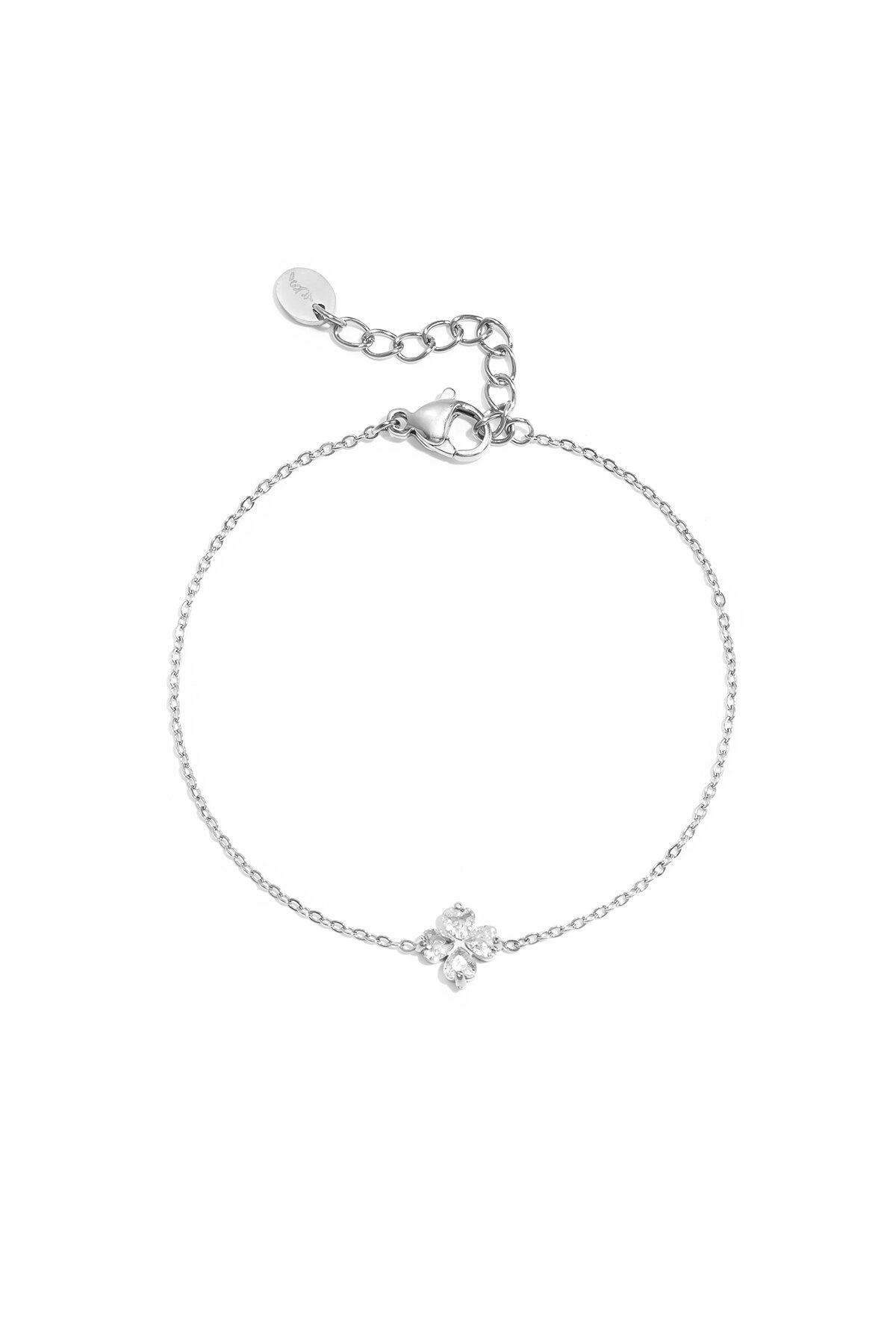 Silver Color Picture2