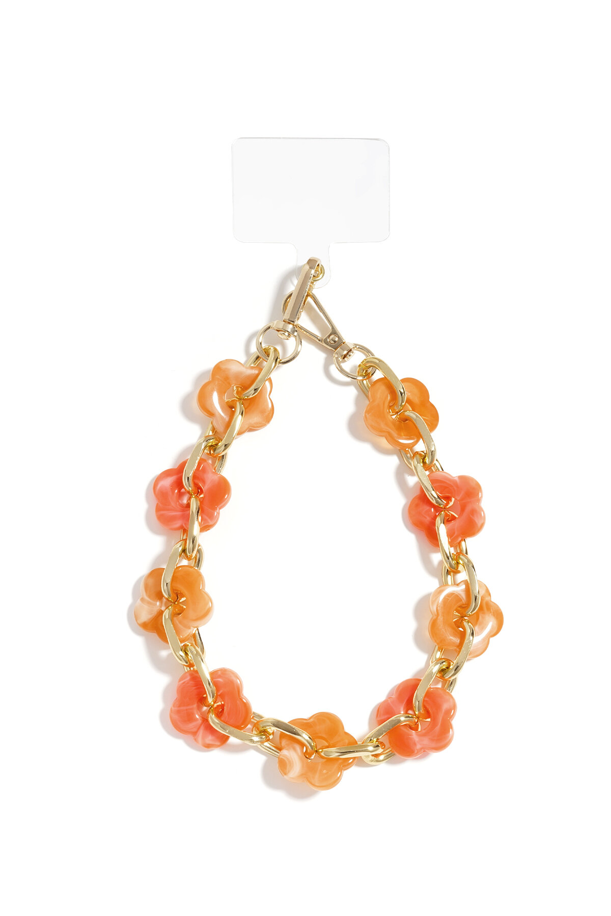 Orange Picture2