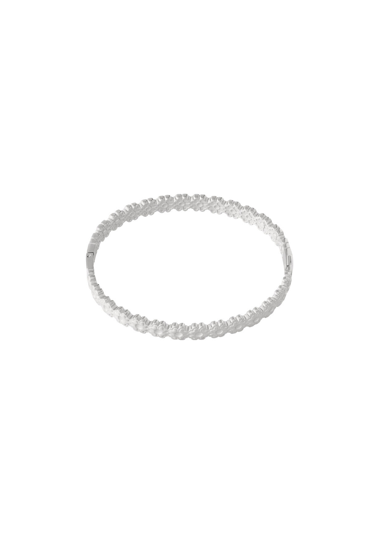 Silver Color Picture2