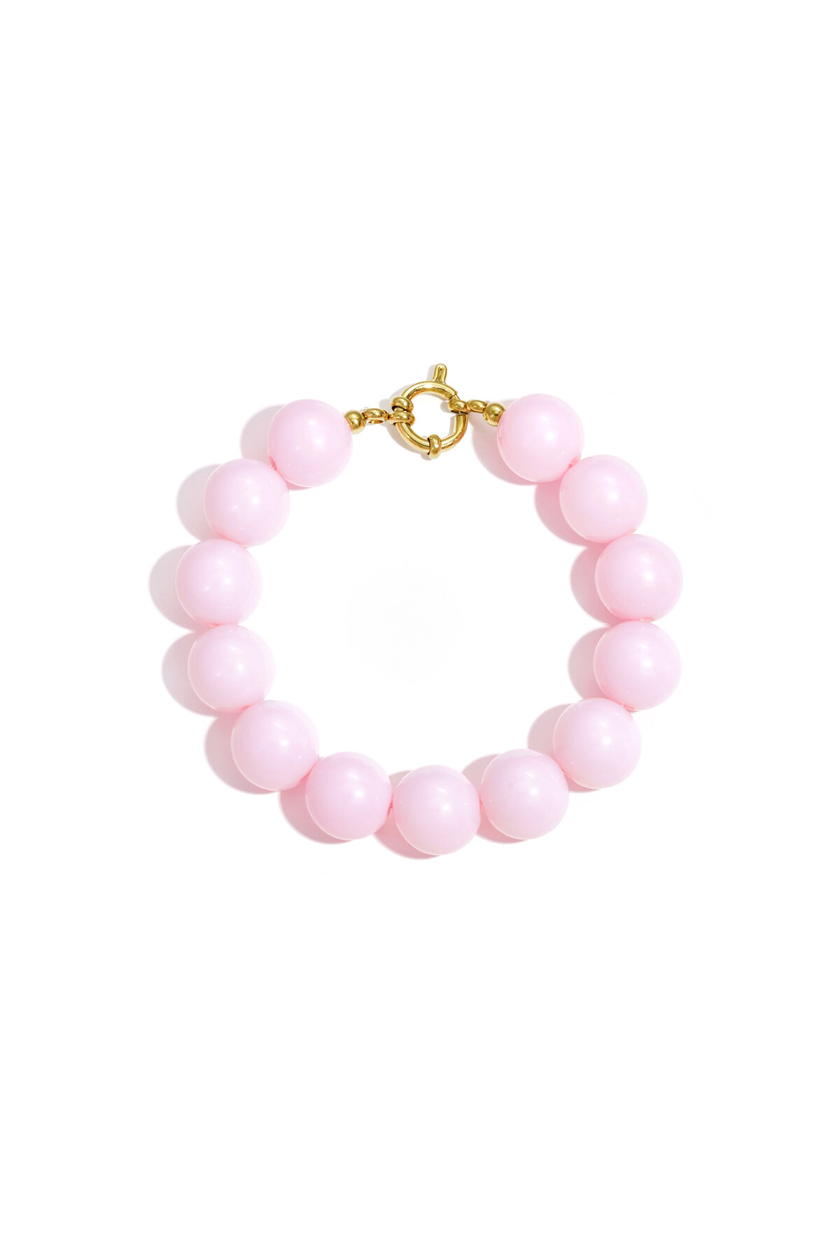 Rosa Bild6