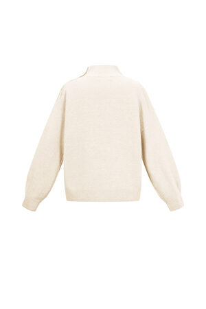 Knitted Polyester Fiber Women's Turtleneck Sweater Casual Solid Color h5 Picture3