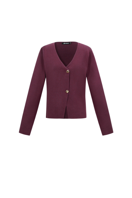 Viscose Knitted Women's Cardigan Casual Solid Color Fall/Winter 2