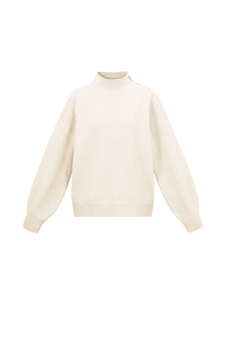 Gestrickte Polyesterfasern Damen Rollkragenpullover Casual Einfarbig 2