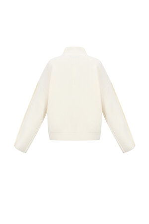 Strick-Polyesterfaser Damen Rollkragenpullover Casual Einfarbig h5 Bild3