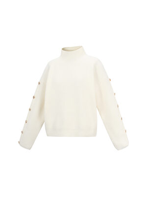 Strick-Polyesterfaser Damen Rollkragenpullover Casual Einfarbig h5 Bild2