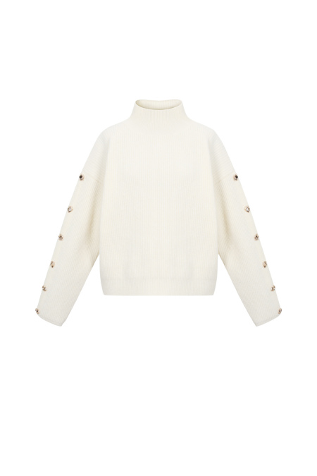 Strick-Polyesterfaser Damen Rollkragenpullover Casual Einfarbig 2