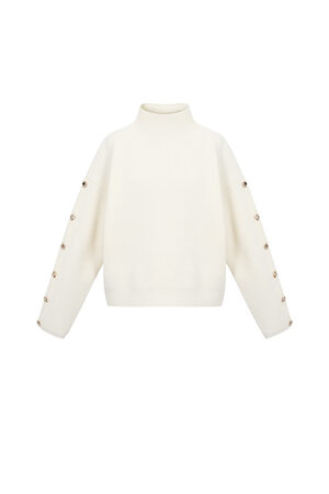 Strick-Polyesterfaser Damen Rollkragenpullover Casual Einfarbig h5