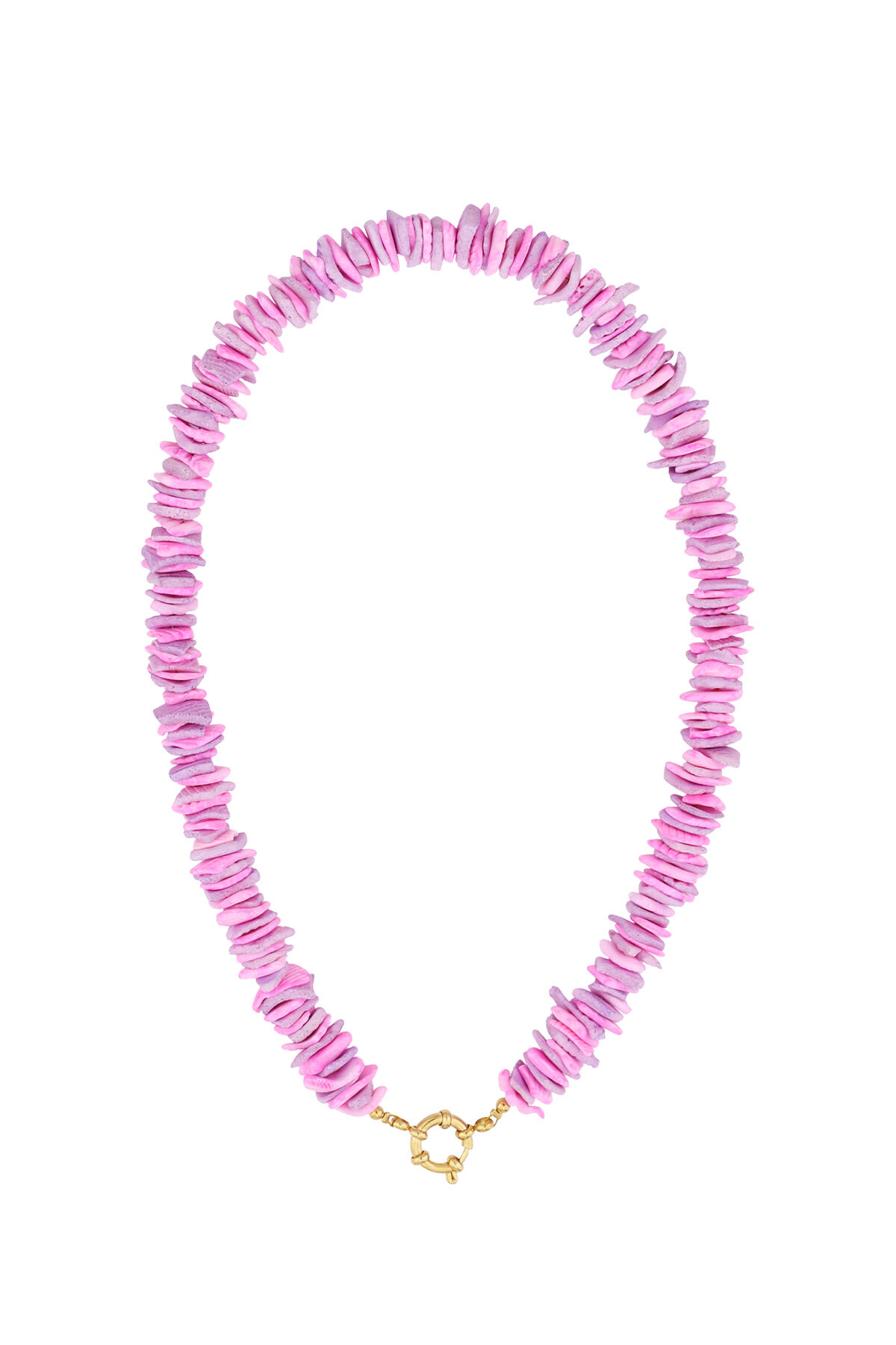 Seashell Necklace 2