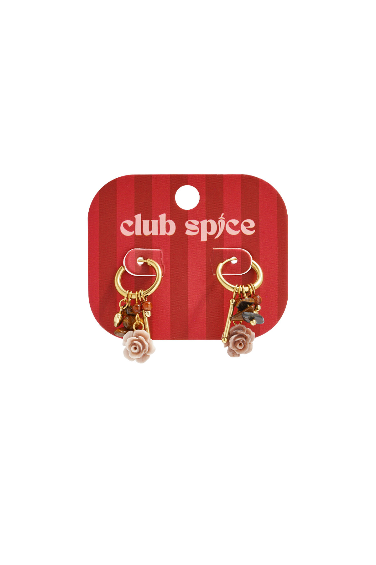 Stainless Steel Drop Earrings Flower Casual Daily Simple Series Women's jewelry Picture5