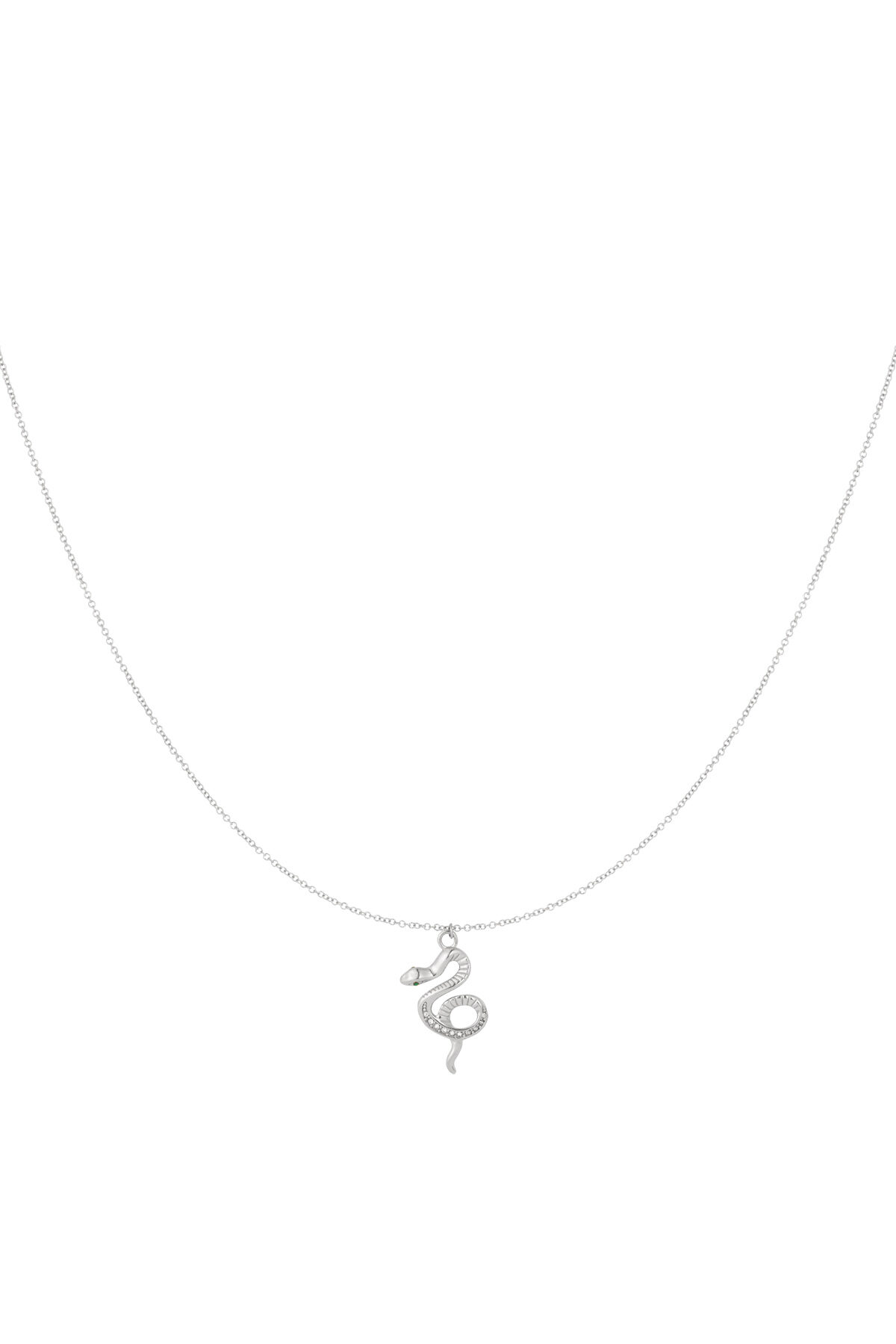 Silver Color Picture2