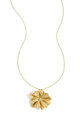 Gold Color