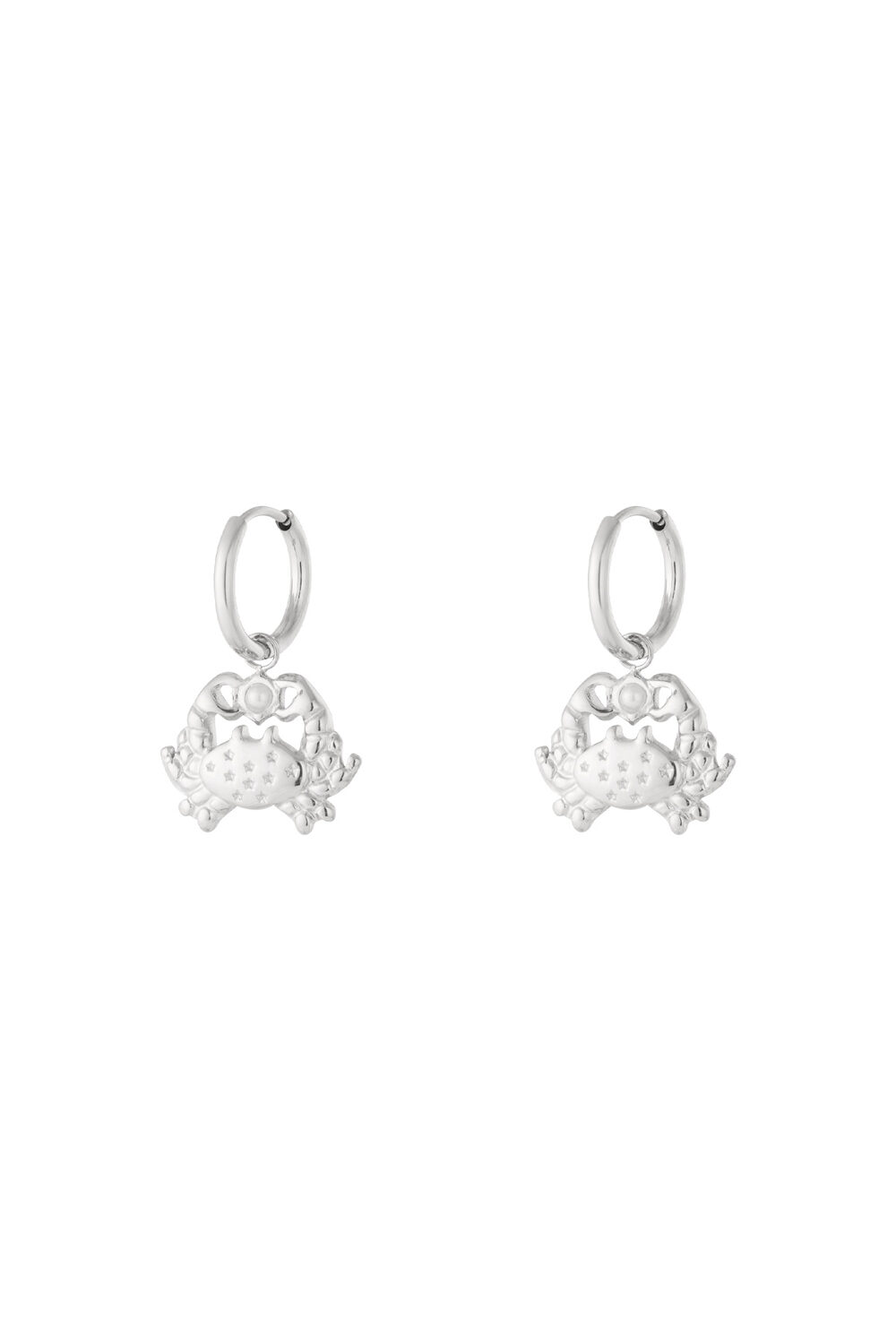Drop Earrings Animal Casual Daily Simple Series Women's jewelry h5Picture3