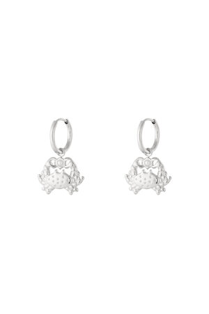 Drop Earrings Animal Casual Daily Simple Series Women's jewelry h5 Picture3