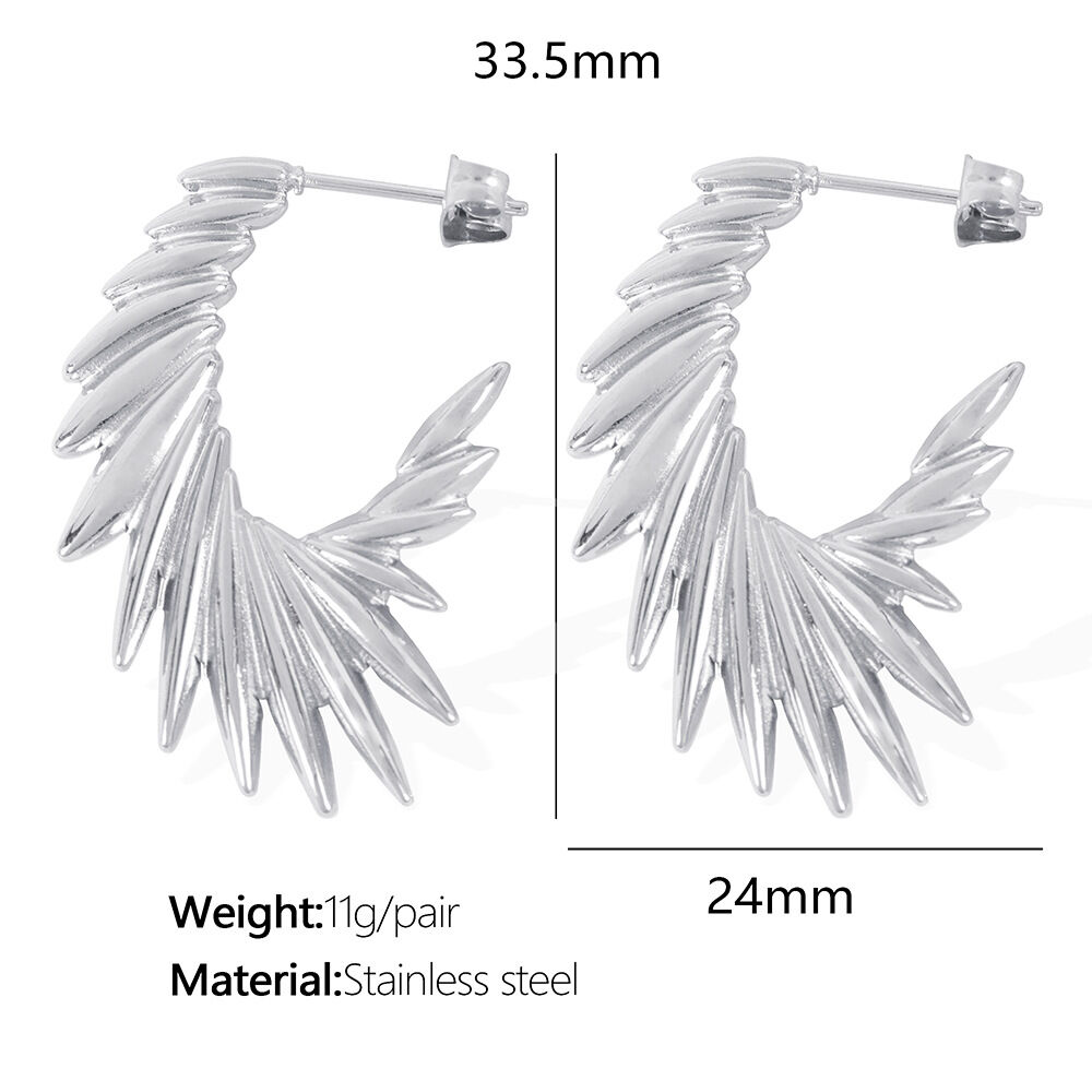 Eh303 Silver Earrings Picture2