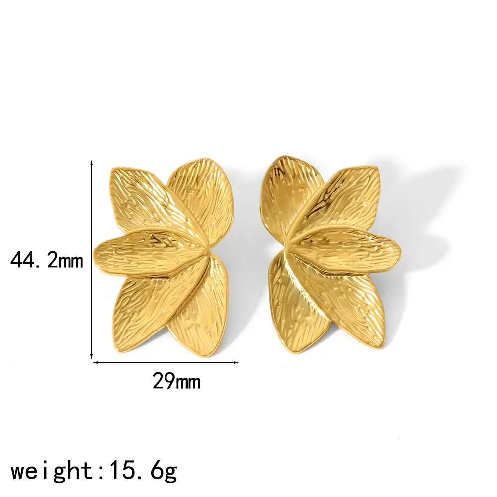 Image2