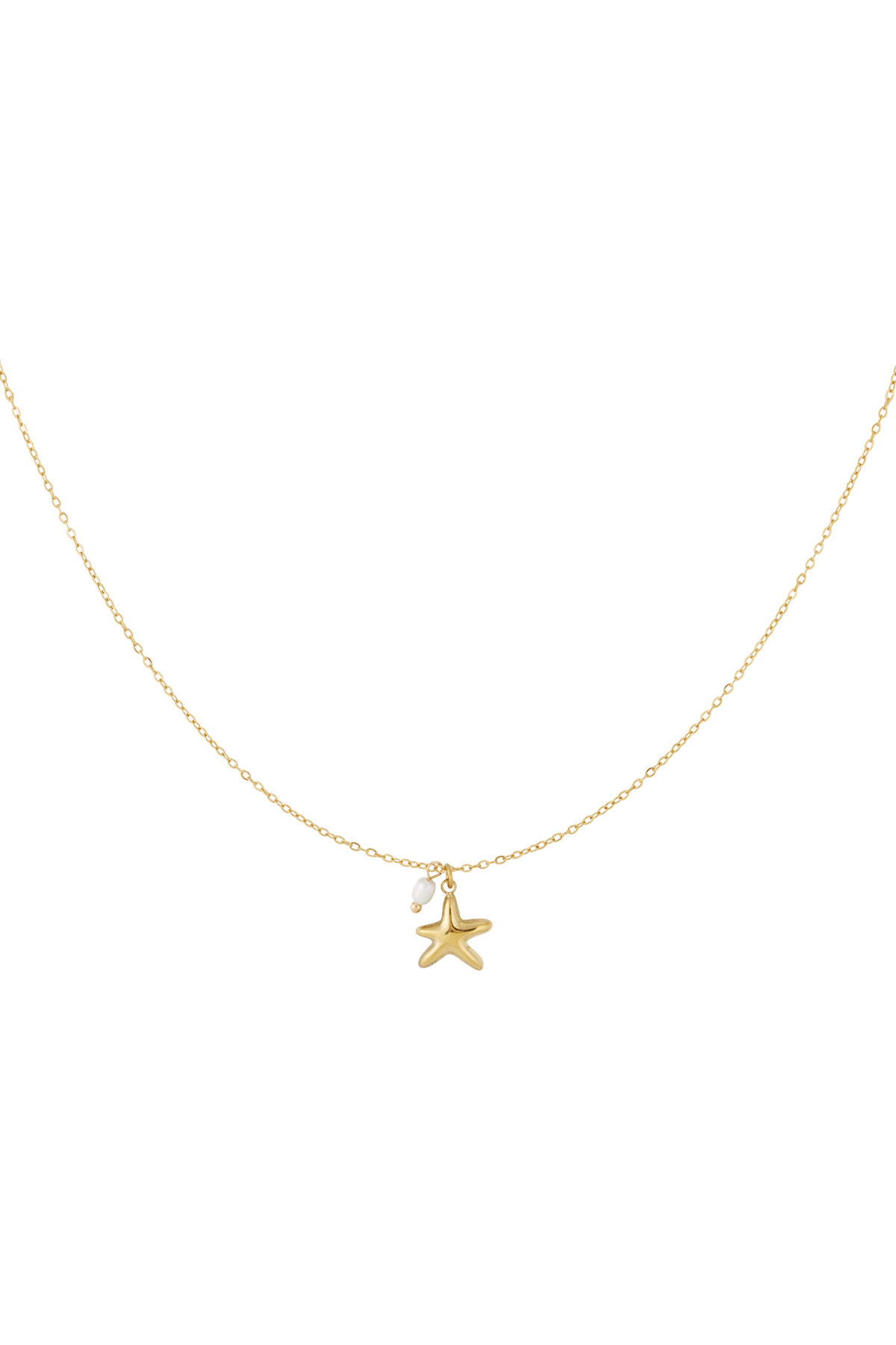 Starfish necklace 2