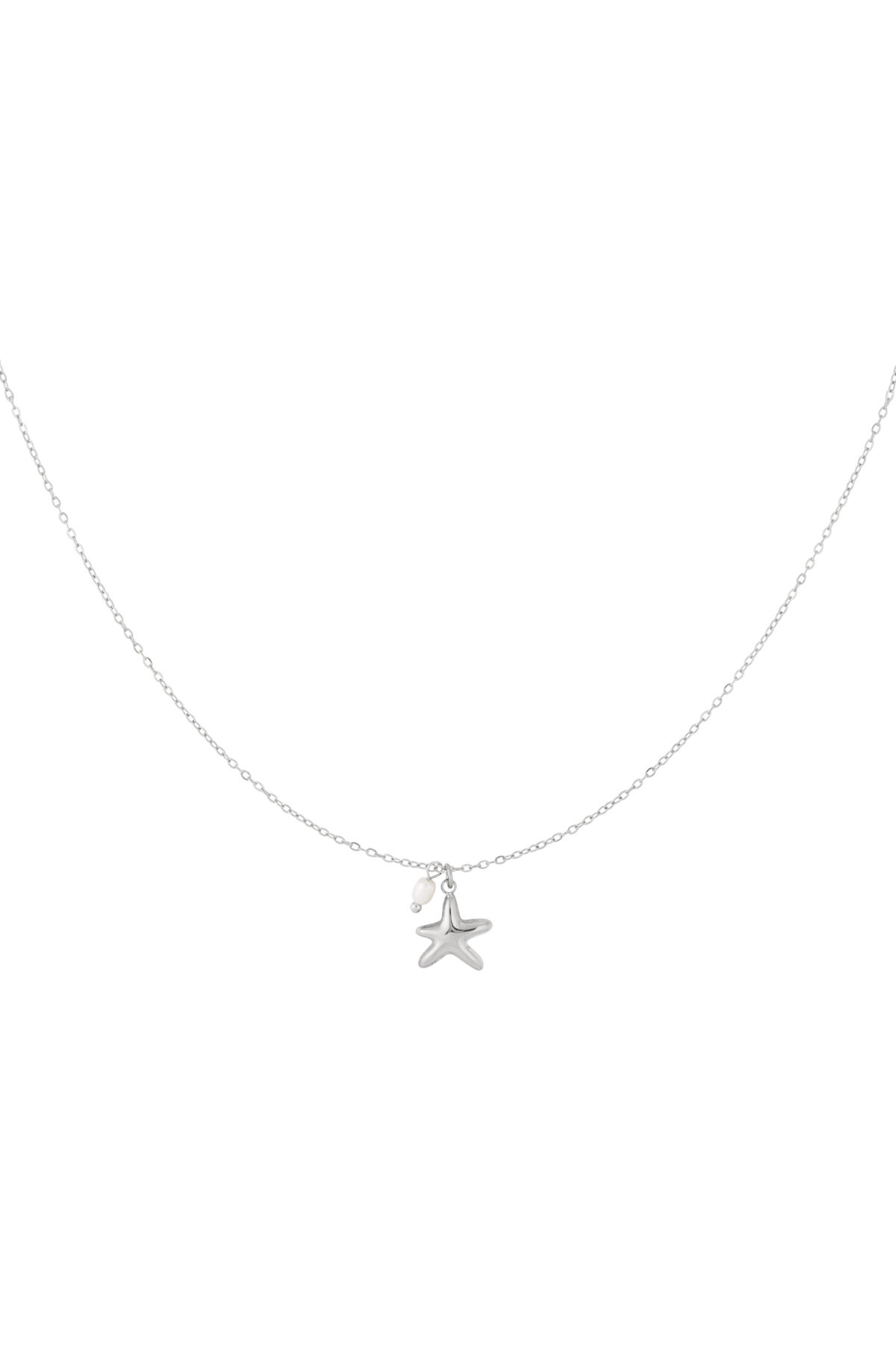Silver Picture2