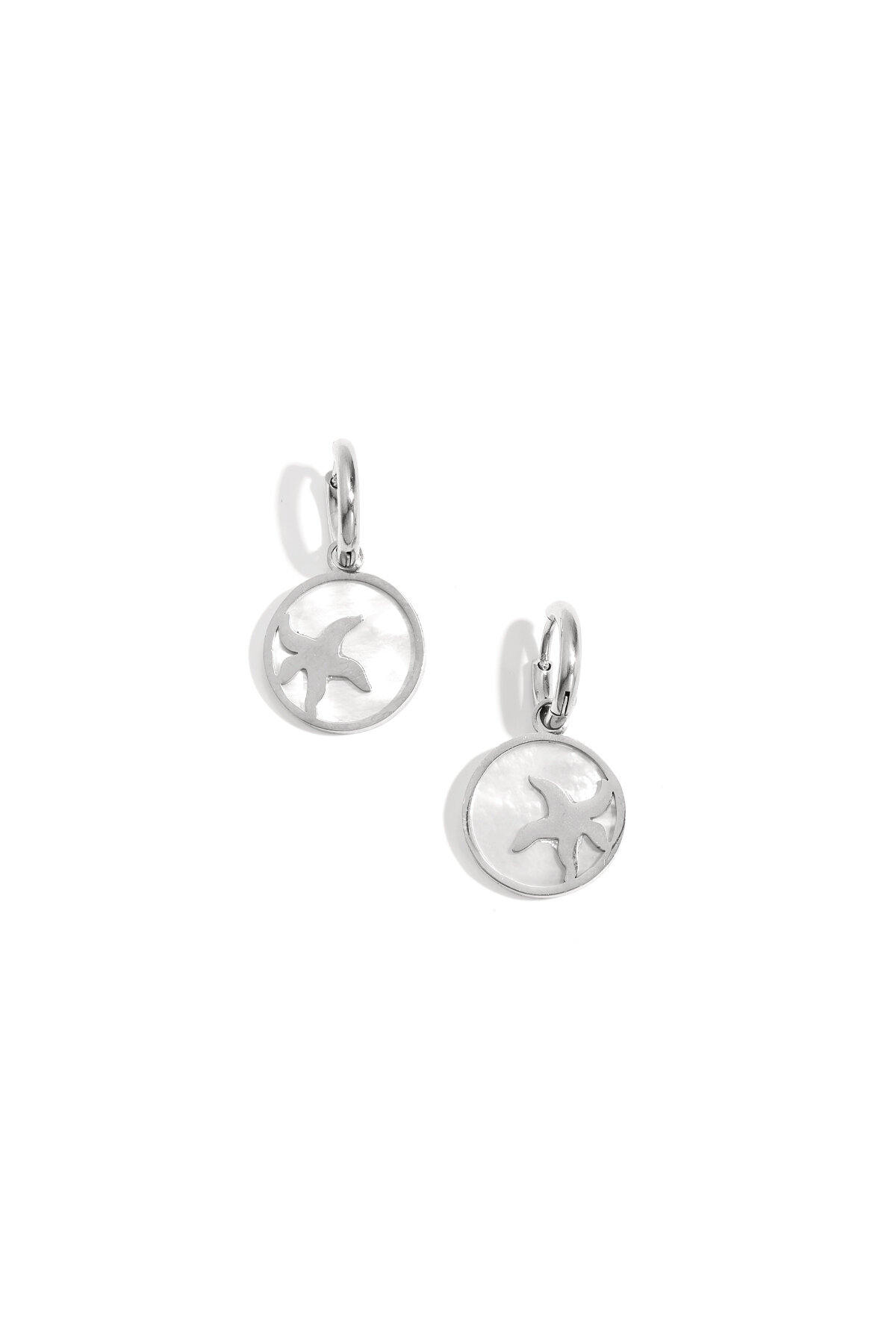 Silver Color Picture2