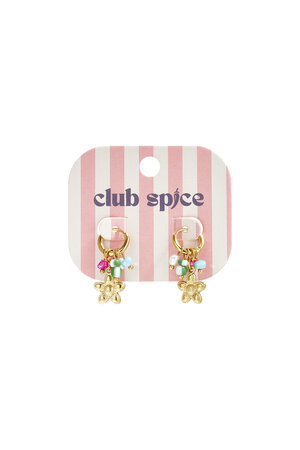Stainless Steel Drop Earrings Flower Casual Daily Romantic Series Women's jewelry h5 Picture3