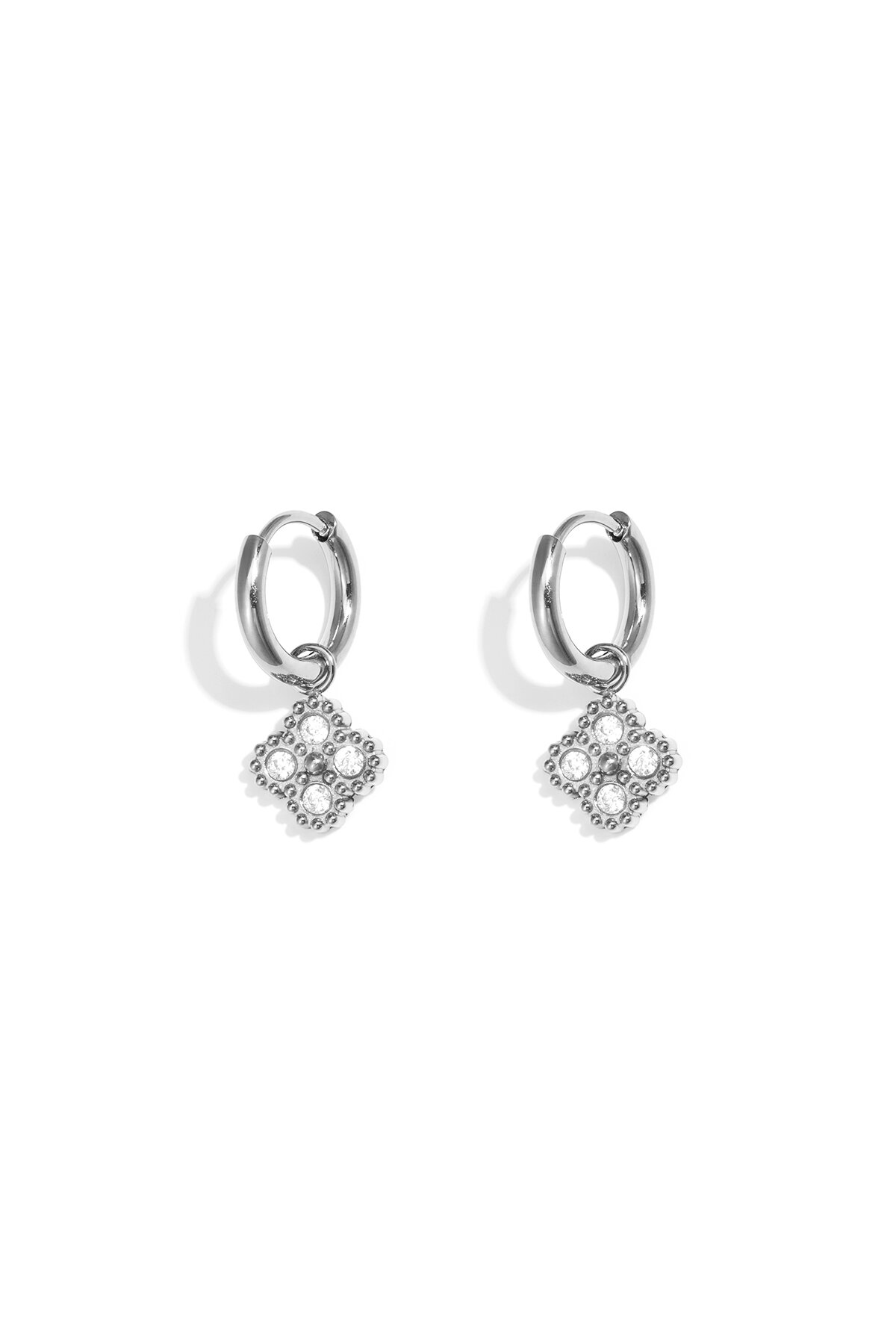 Silver Color Picture2