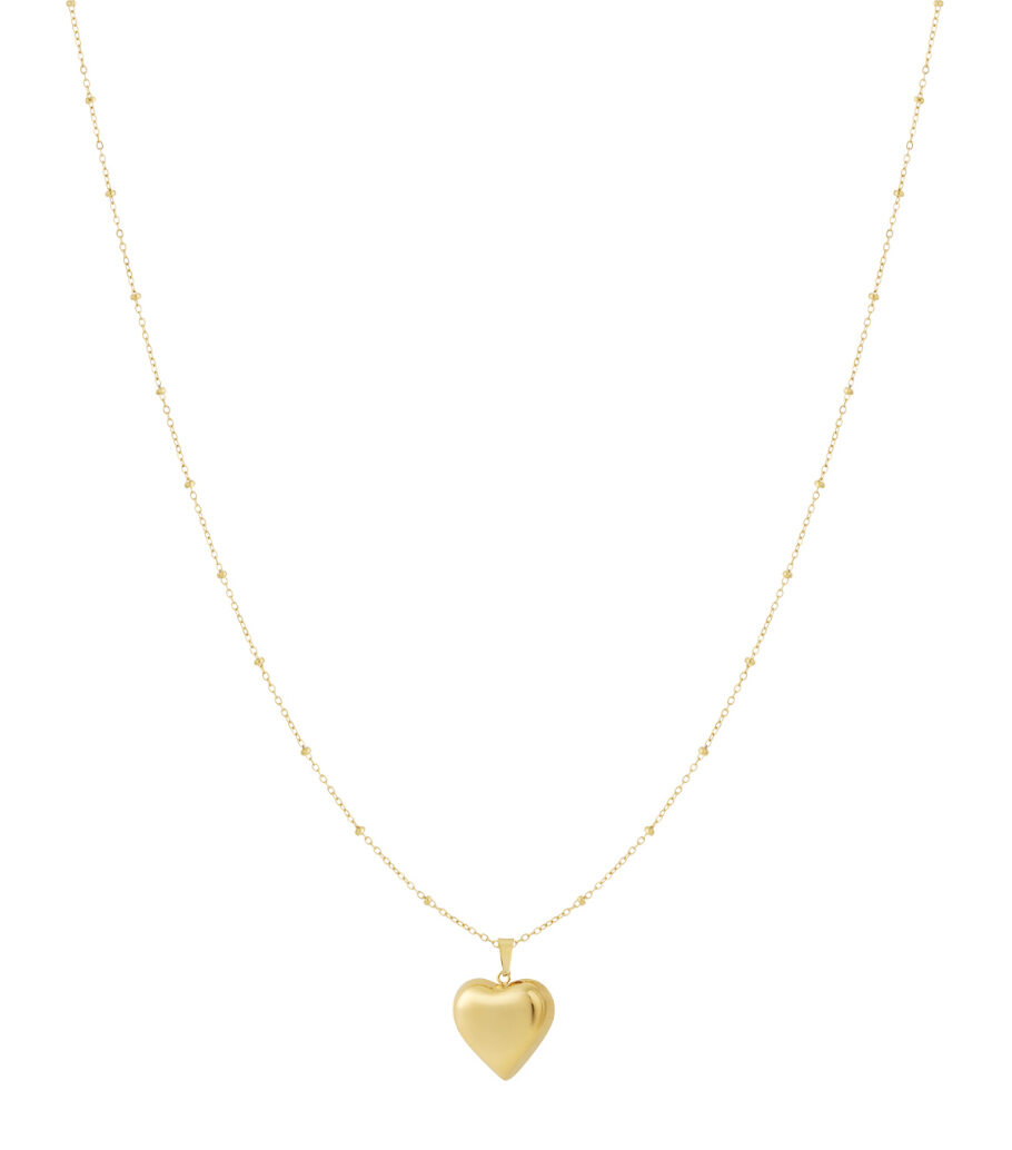 Stainless Steel Pendant necklaces Heart Casual Daily