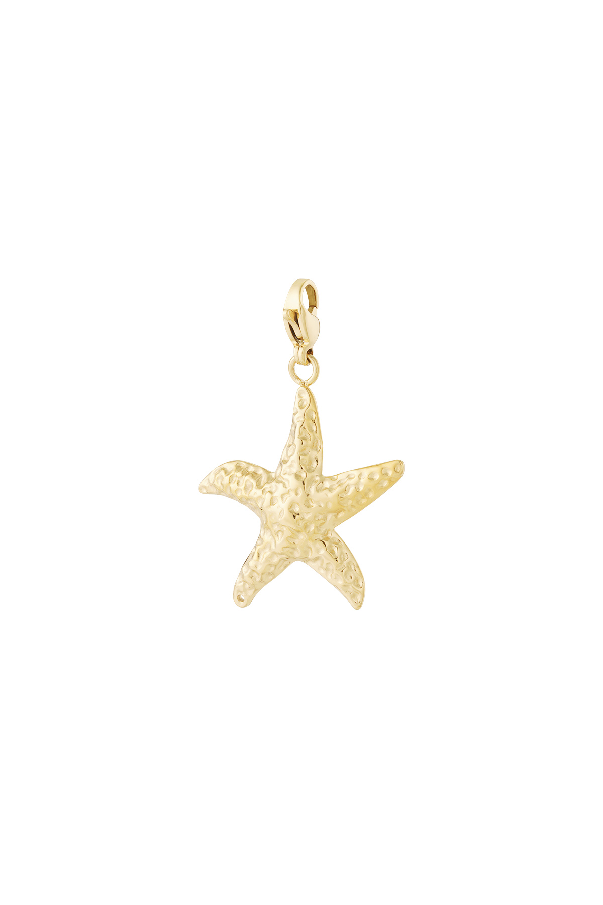 Zeester sieraden bedel 2