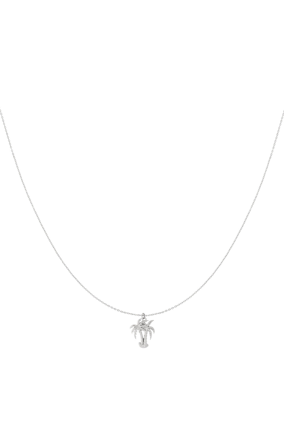 Silver Color Picture2