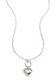 Silver Color Picture2