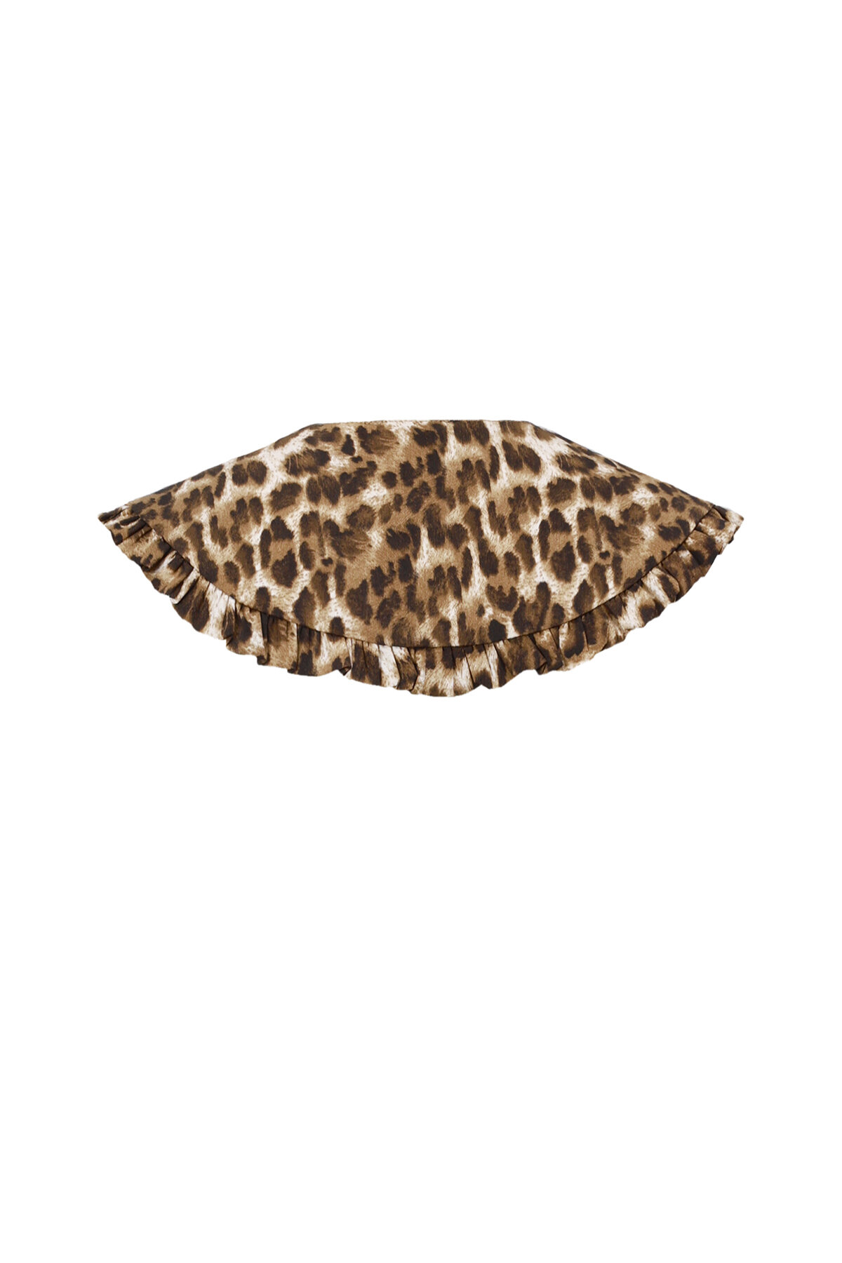 detachable collar h5 Picture2
