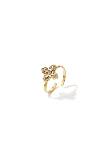 Statement ring with inlaid clover