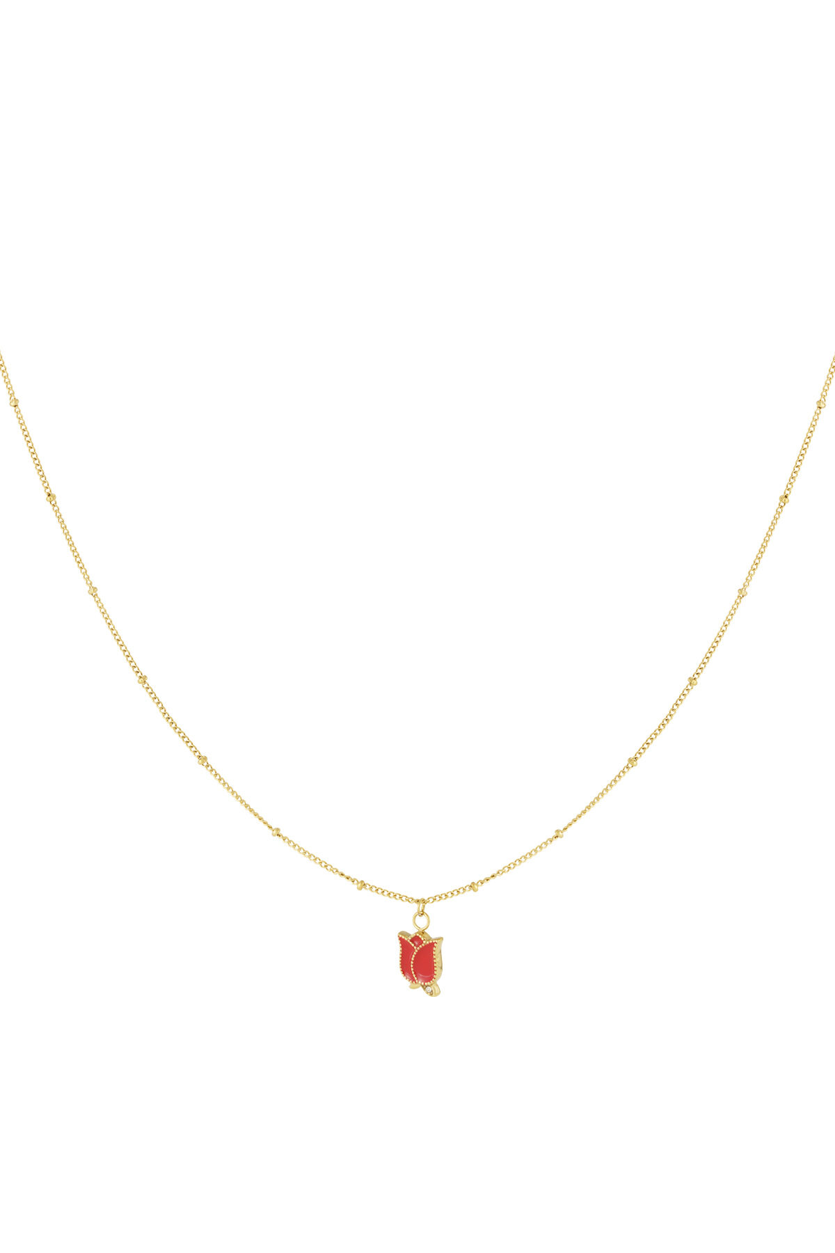 Gold Color 