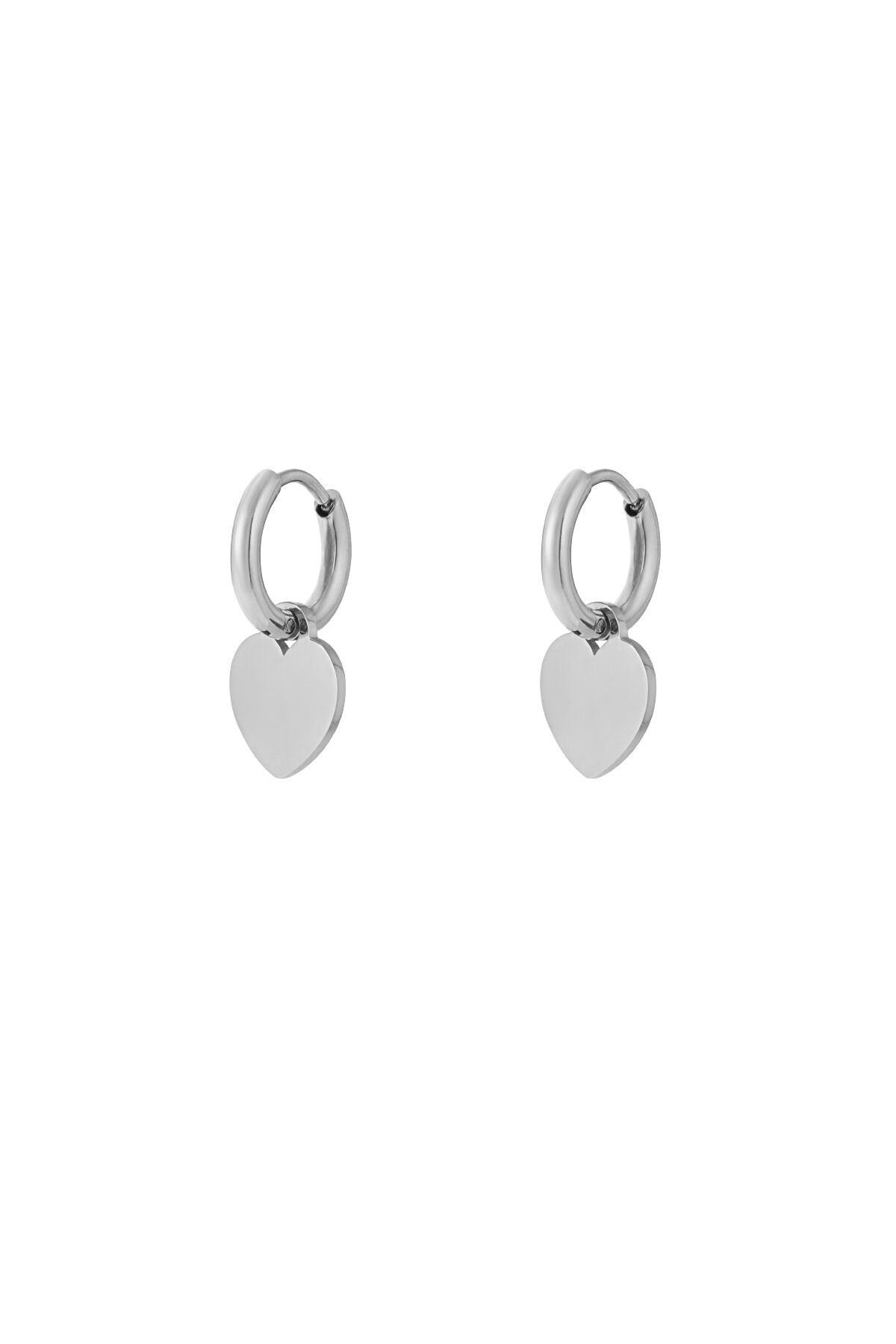 Silver Color Picture2
