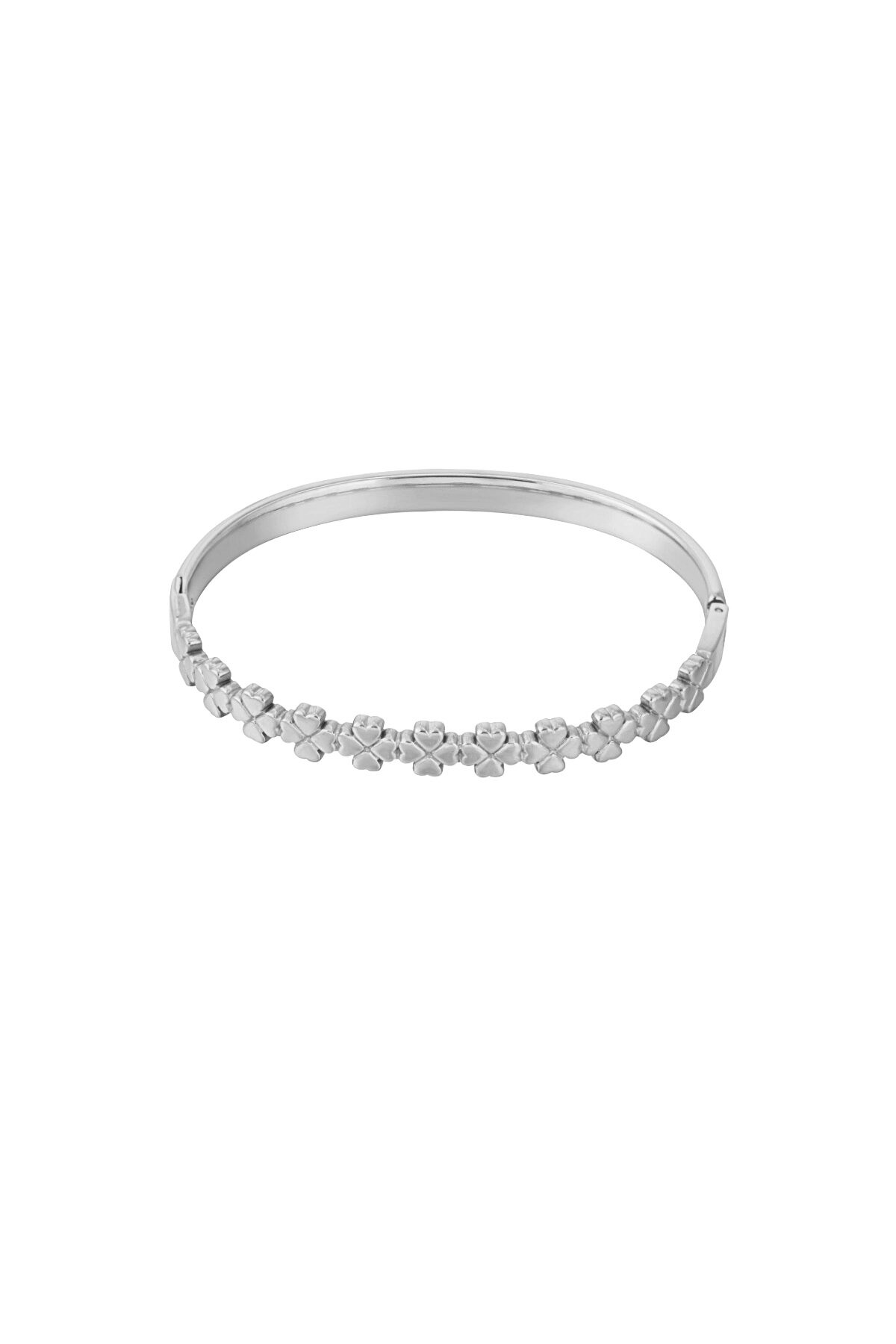 Silver Color Picture2