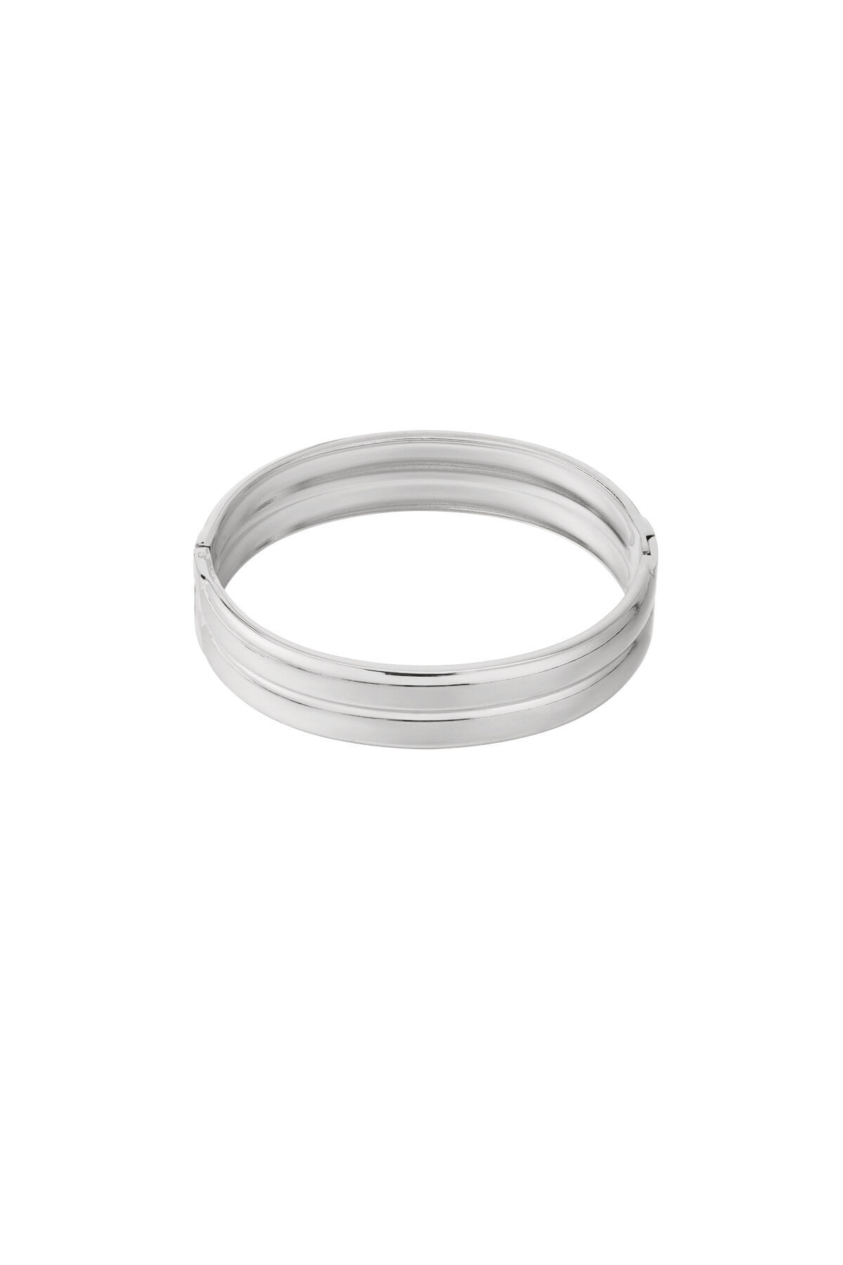 Silver Color Picture2