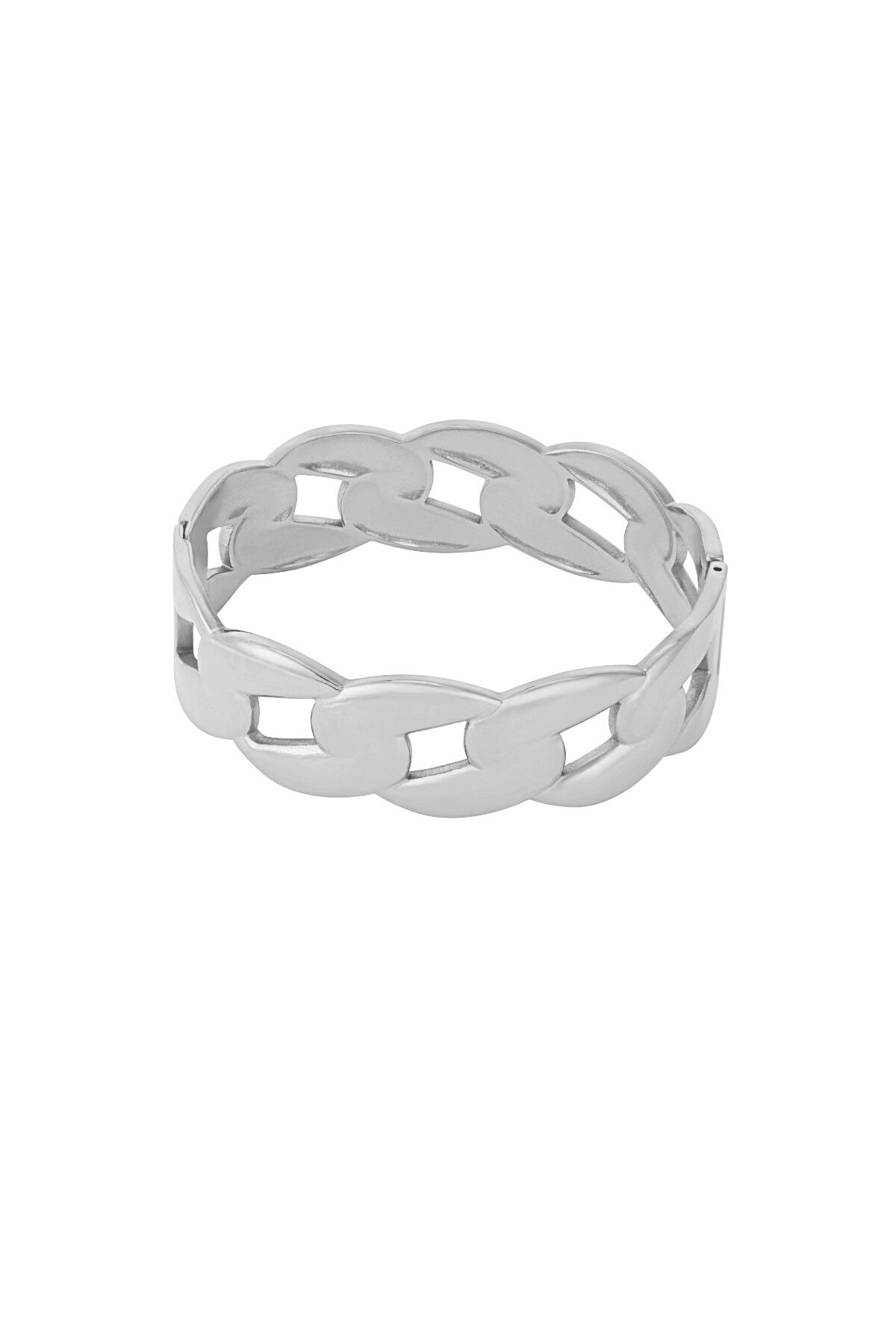 Silver Color Picture2