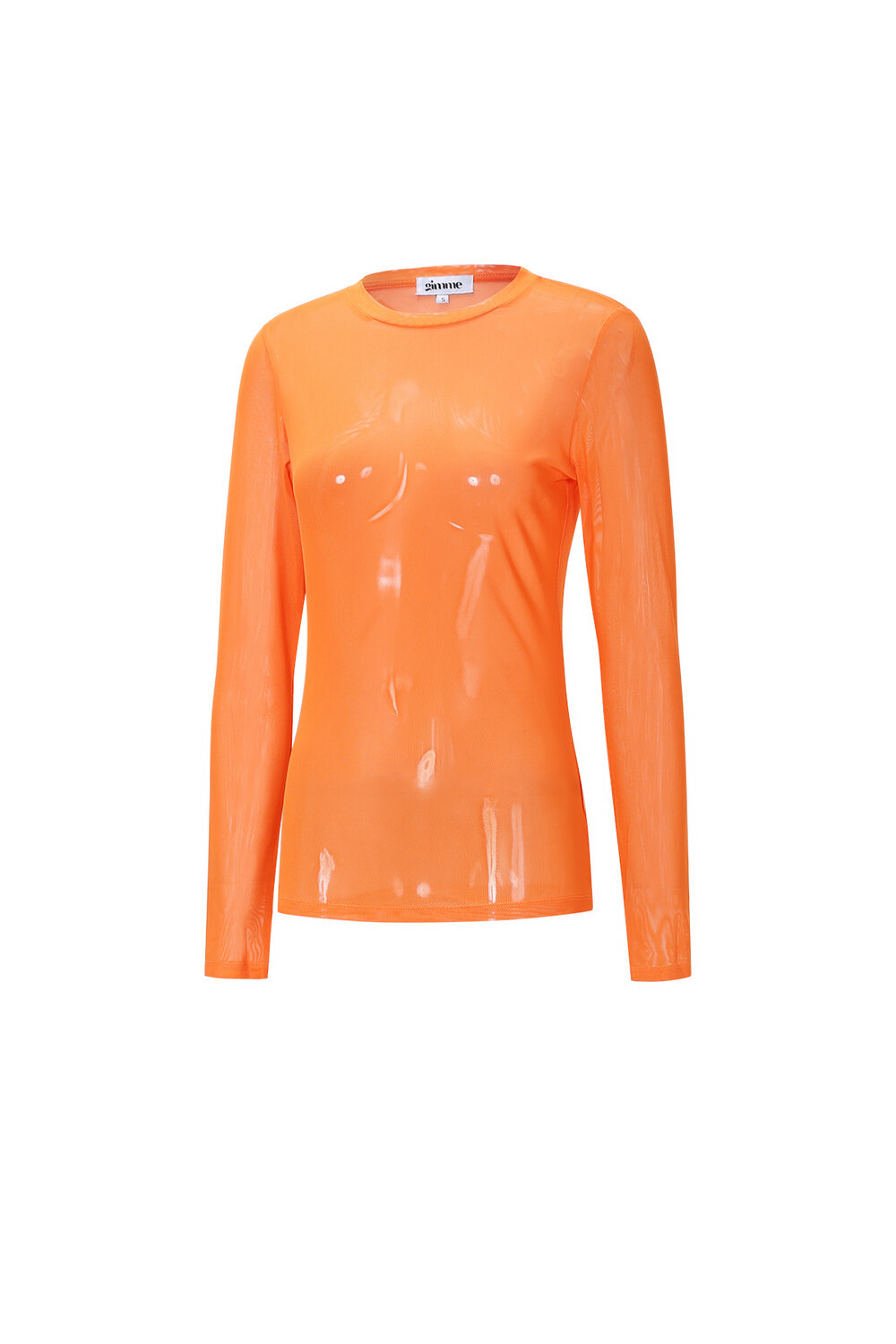 Mesh Longsleeve Top h5Picture2