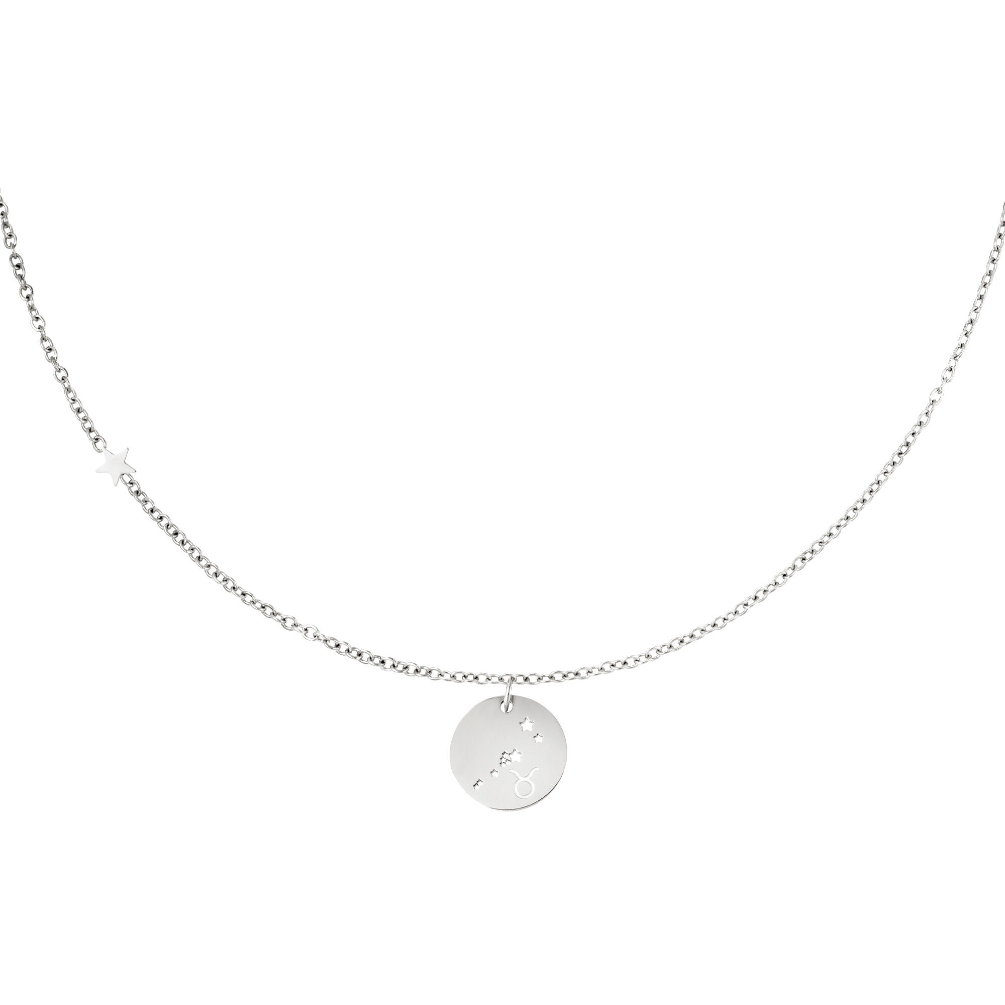Silver Color Picture2